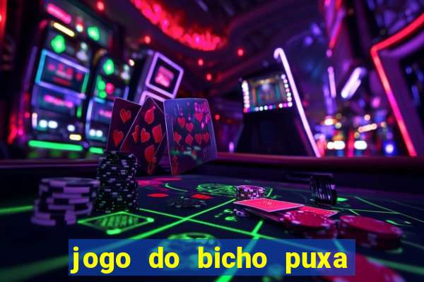 jogo do bicho puxa de dona maria